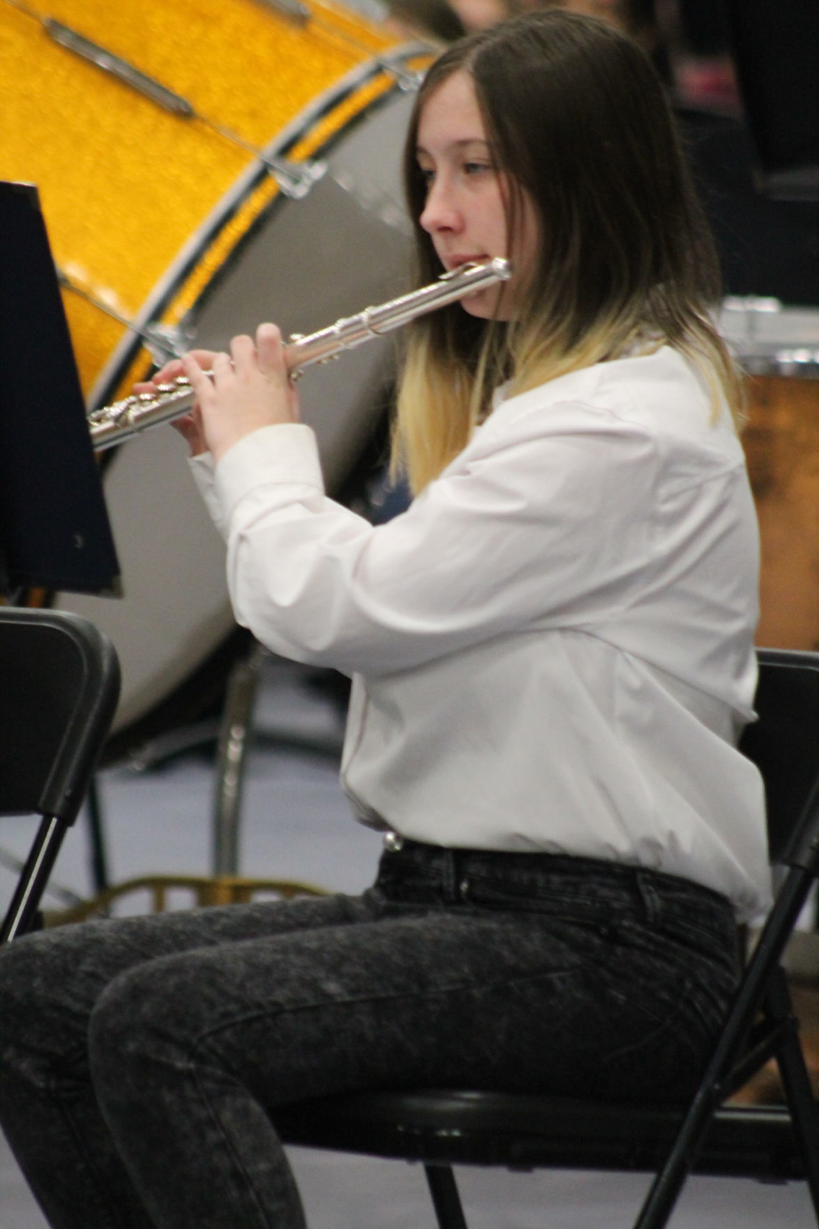 Parade of Bands 34